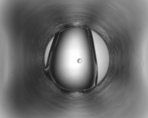 X0000094330421200711021413
