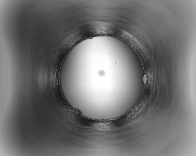 X0000094330422200711021413