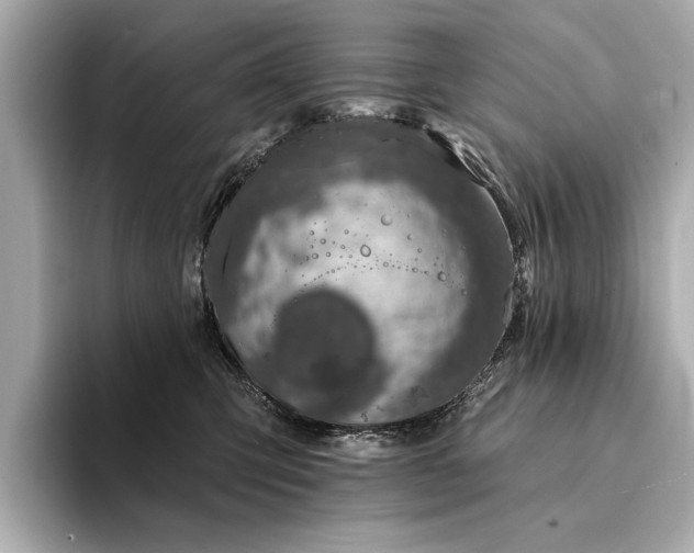 X0000094330423200711021413