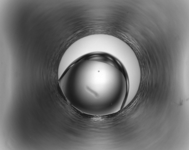 X0000094330425200711021413