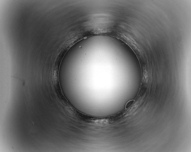 X0000094330426200711021413