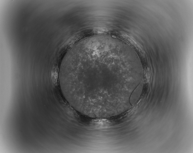 X0000094330427200711021413
