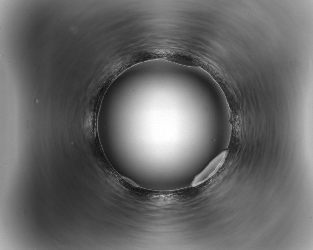 X0000094330428200711021413