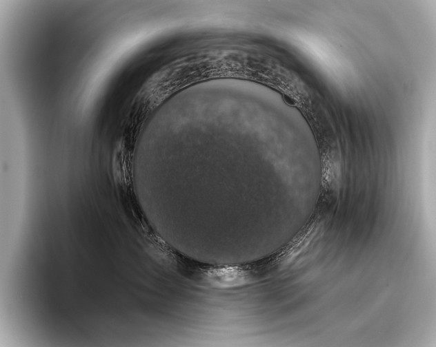X0000094330431200711021413
