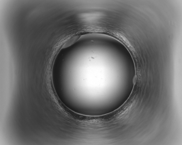 X0000094330433200711021413
