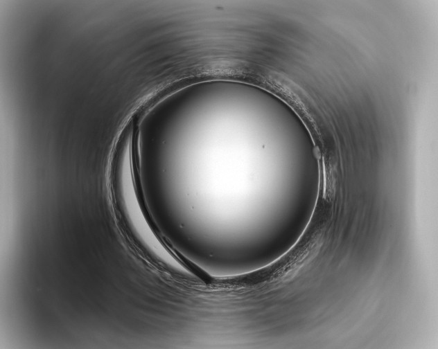 X0000094330435200711021413