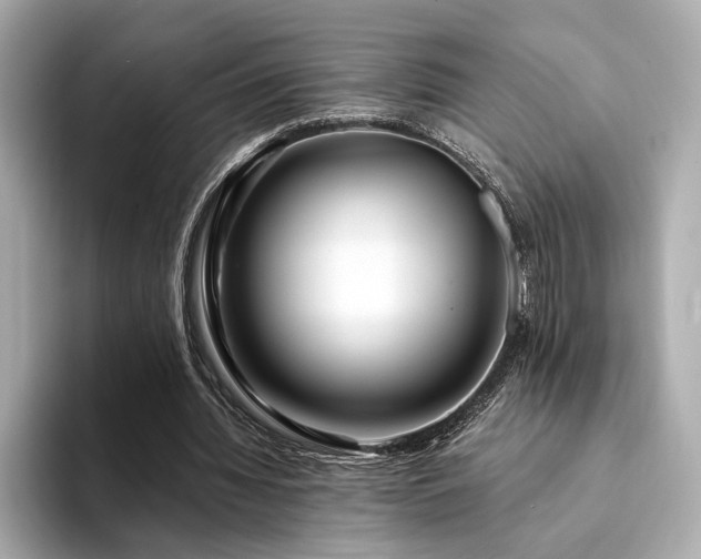 X0000094330436200711021413