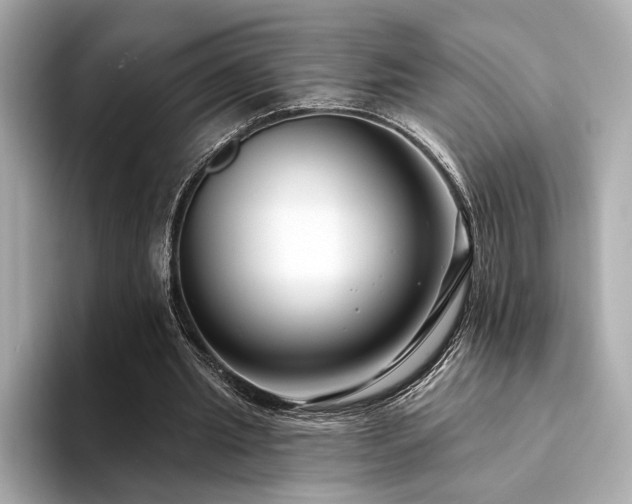 X0000094330437200711021413