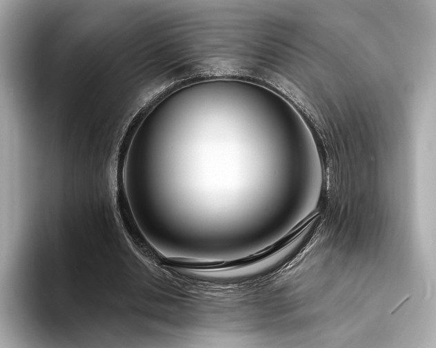 X0000094330438200711021413