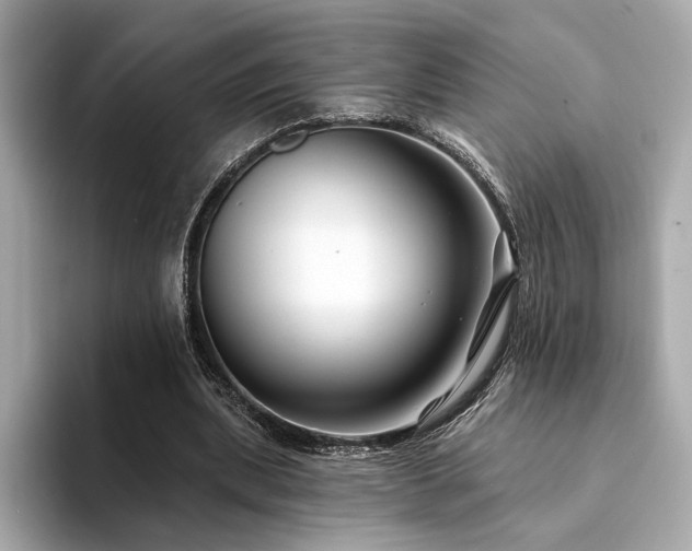 X0000094330439200711021413