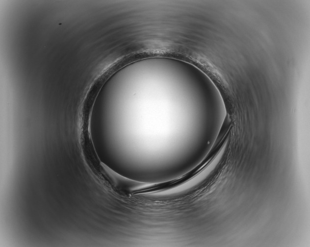 X0000094330440200711021413