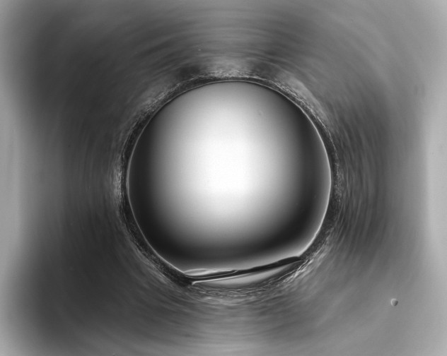 X0000094330441200711021413