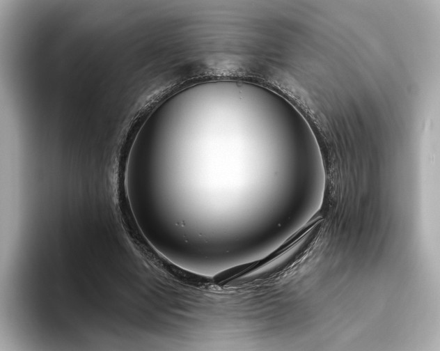 X0000094330442200711021413