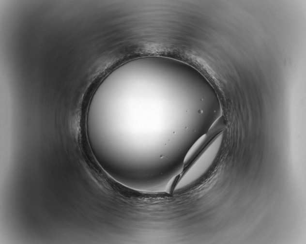 X0000094330443200711021413