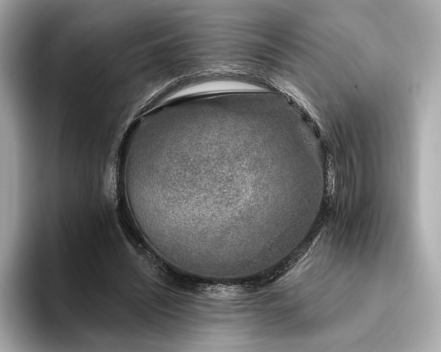 X0000094330444200711021413