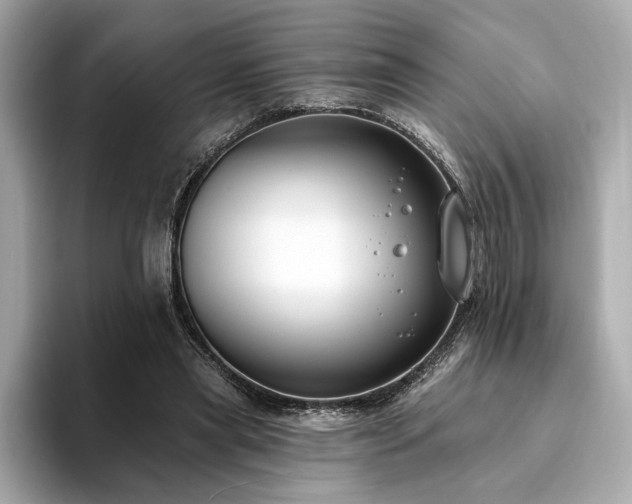X0000094330445200711021413