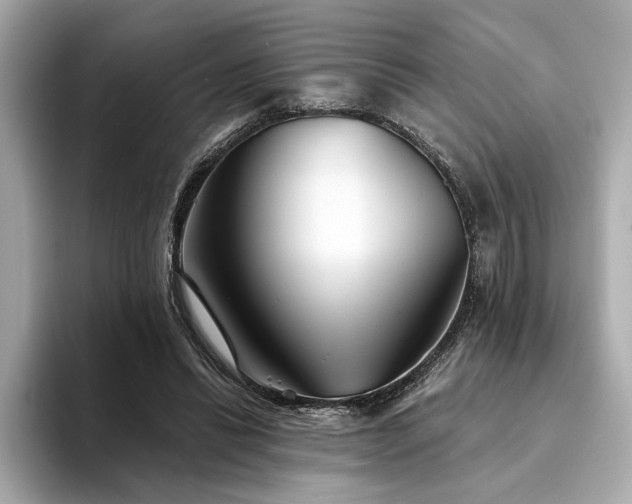 X0000094330446200711021413