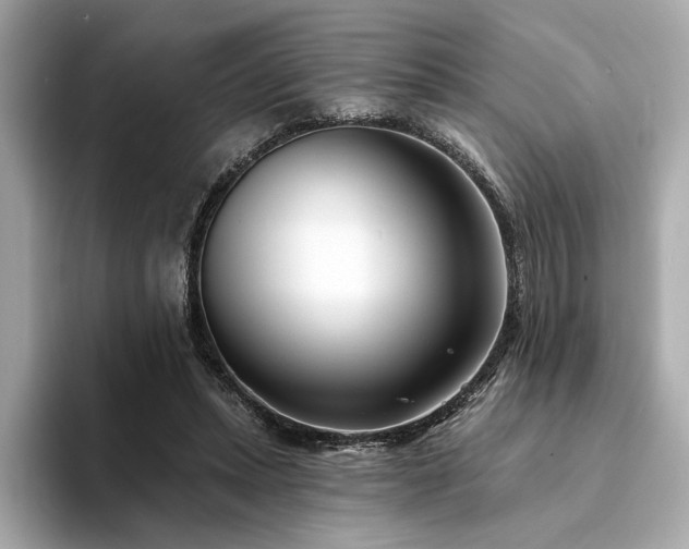 X0000094330447200711021413