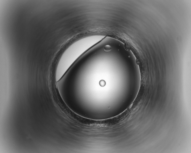 X0000094330448200711021413