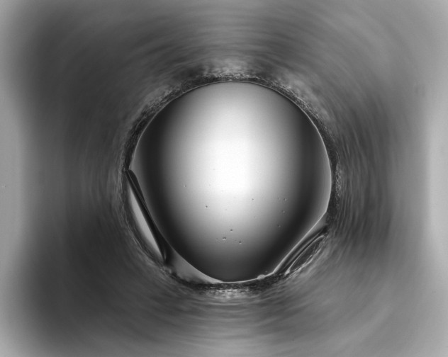 X0000094330449200711021413
