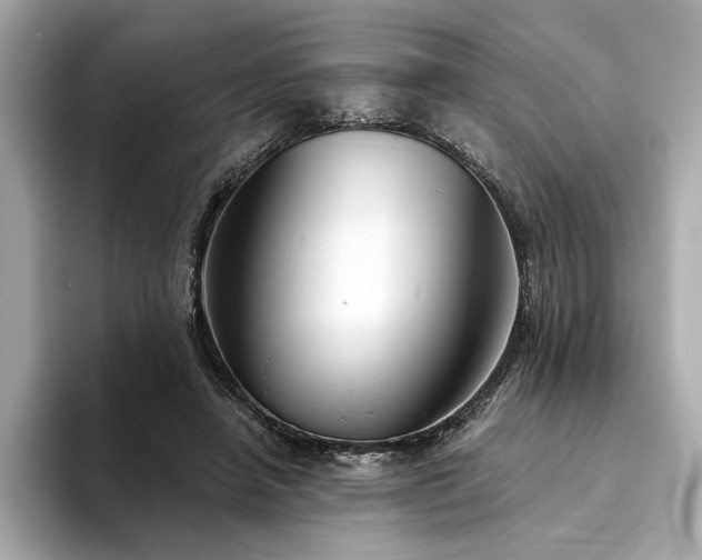 X0000094330450200711021413