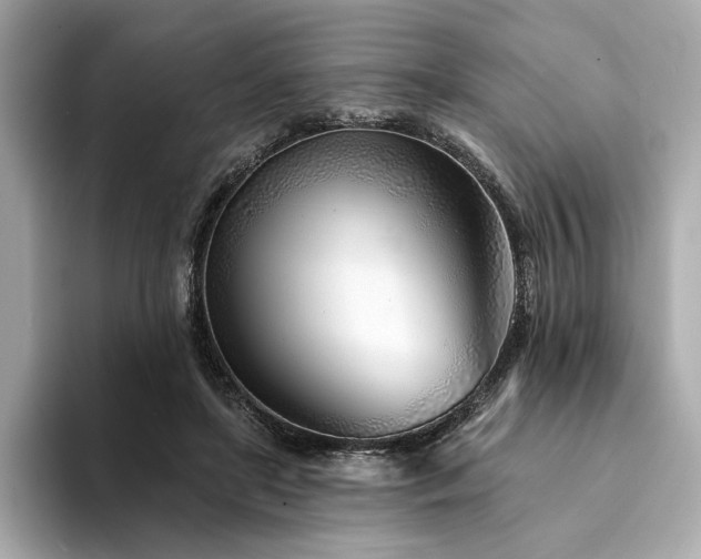 X0000094330451200711021413