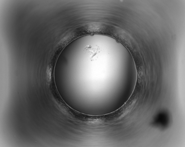 X0000094330454200711021413