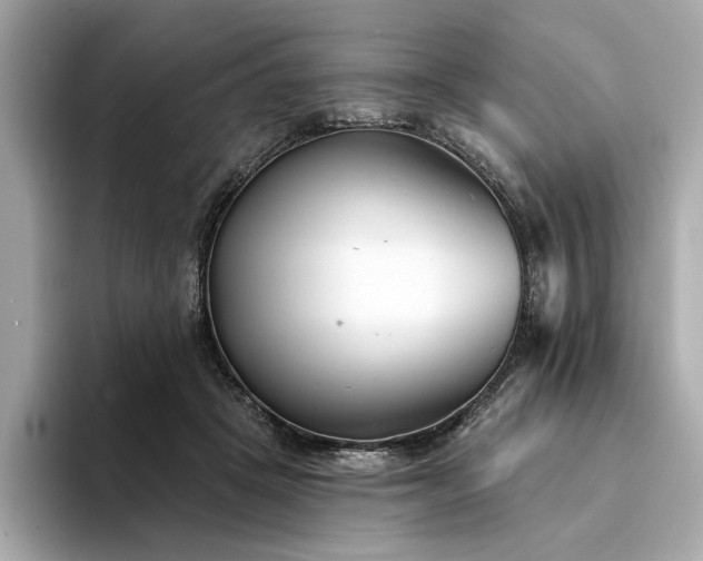 X0000094330457200711021413