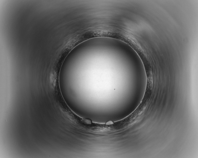 X0000094330458200711021413