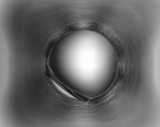 X0000094330462200711021413