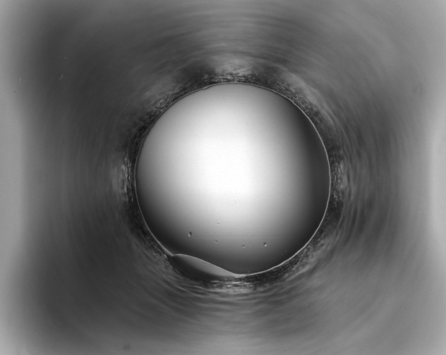 X0000094330463200711021413