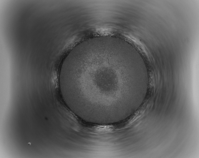 X0000094330465200711021413