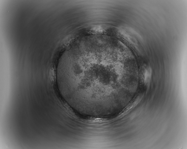 X0000094330467200711021413