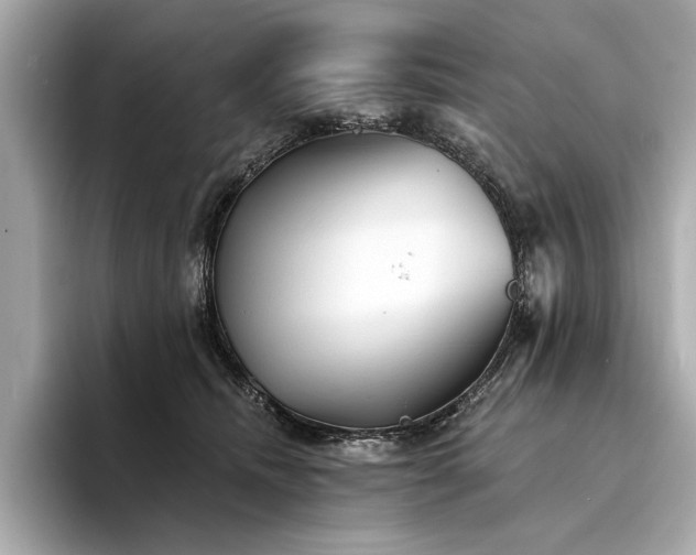 X0000094330468200711021413