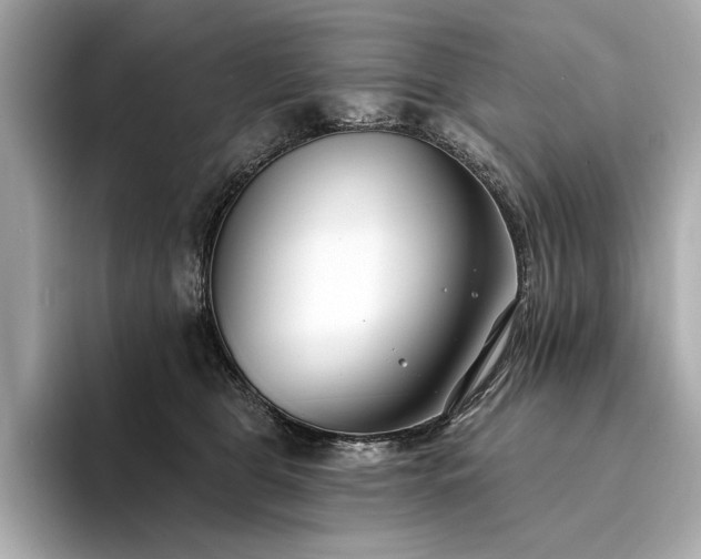 X0000094330469200711021413