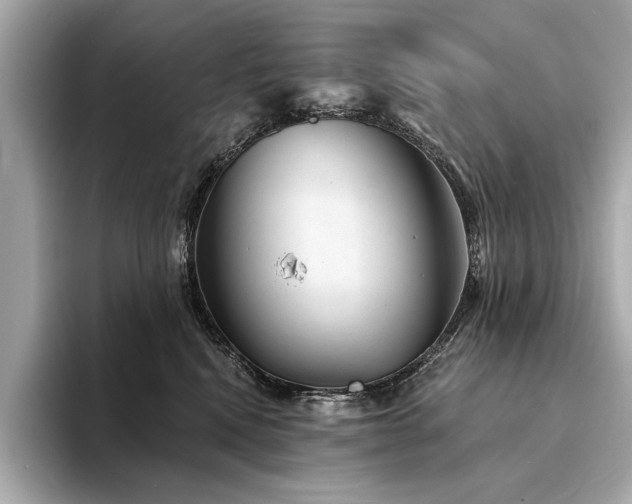 X0000094330472200711021413