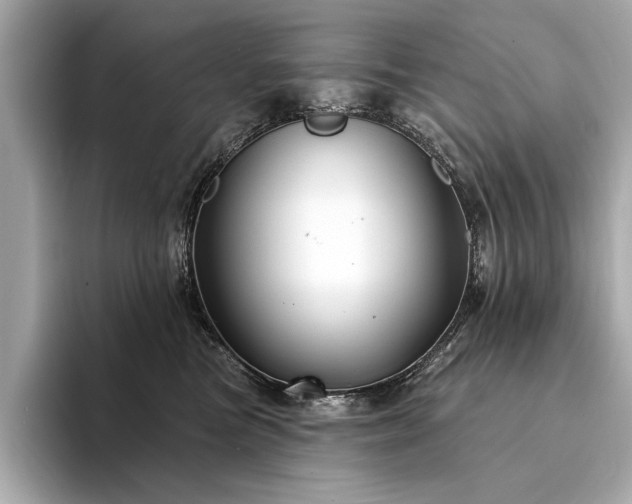 X0000094330473200711021413