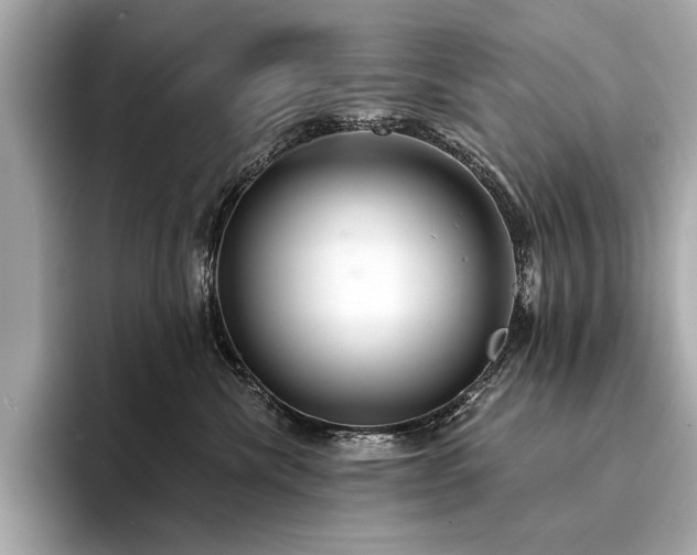 X0000094330476200711021413