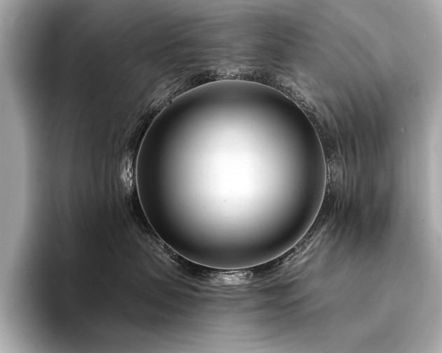 X0000094330479200711021413