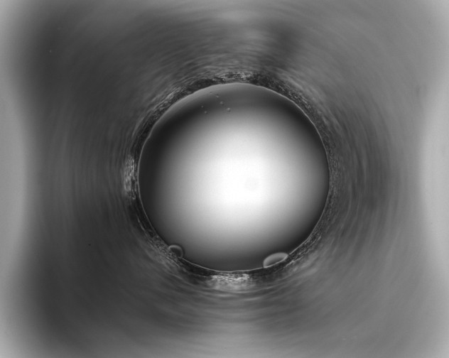 X0000094330480200711021413