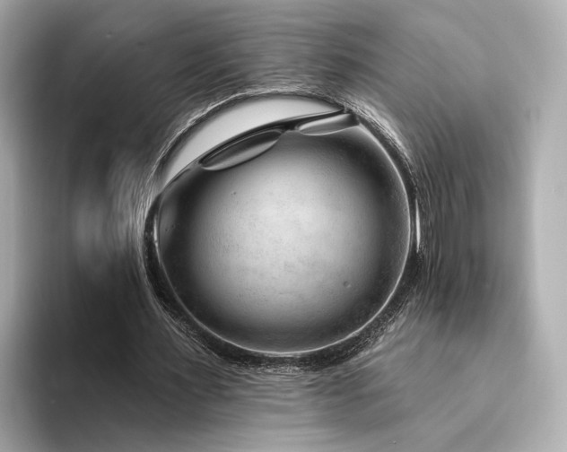 X0000094330483200711021412