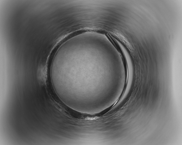 X0000094330484200711021412