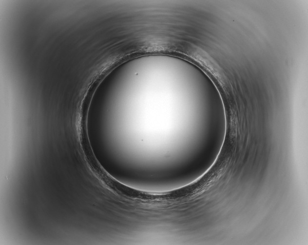 X0000094330485200711021412