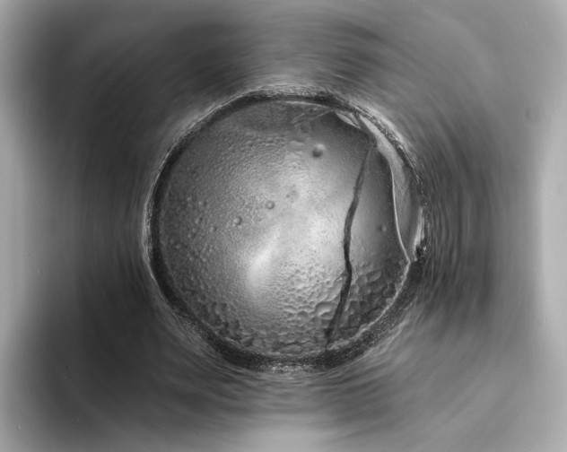 X0000094330487200711021412