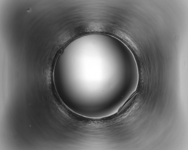 X0000094330489200711021412