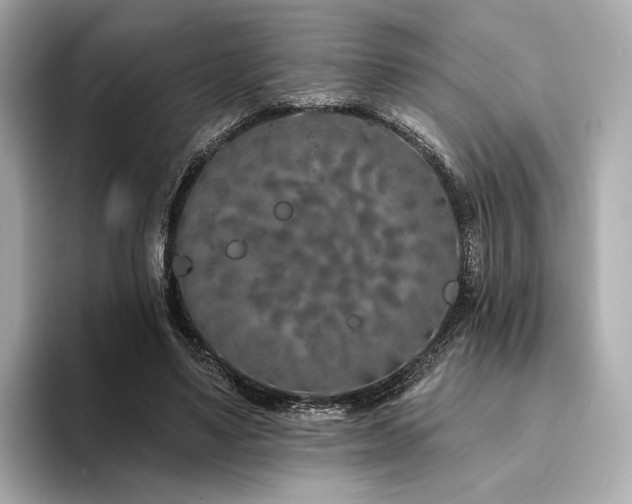 X0000094330491200711021412