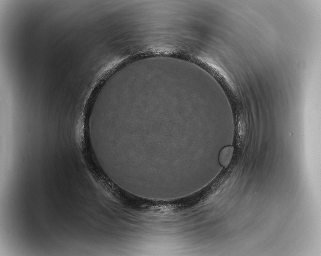 X0000094330492200711021412