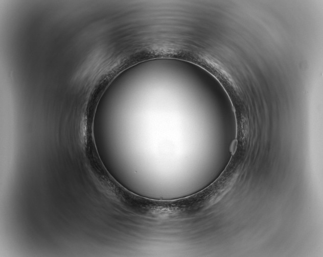 X0000094330494200711021412