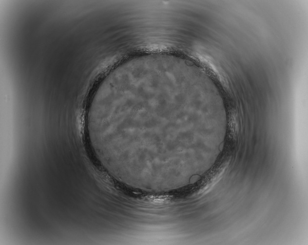 X0000094330495200711021412