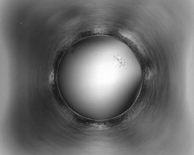 X0000094330502200711021412